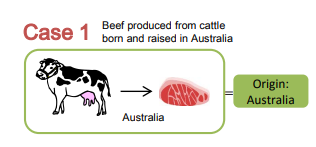 What is Preferential Rules of Origin exsample4