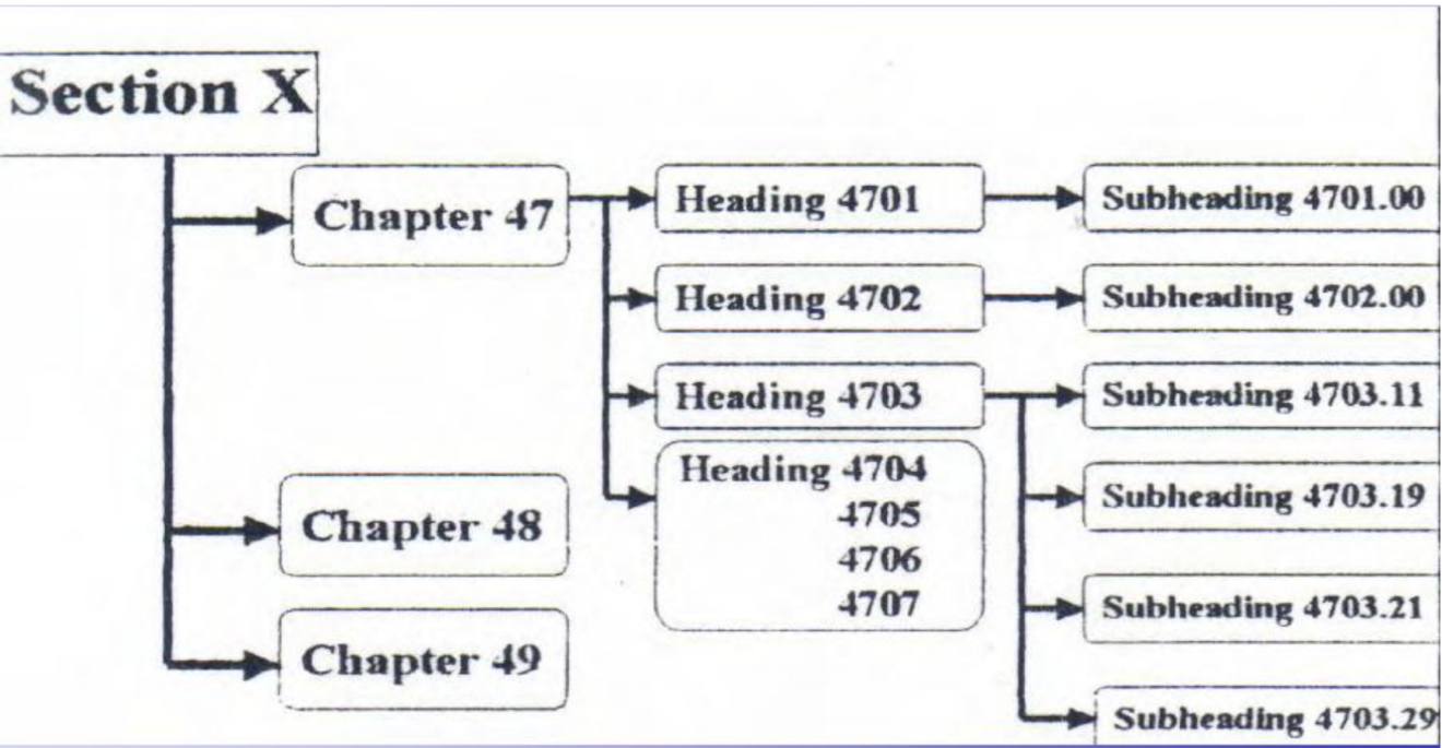 The Fundamentals of HS classification