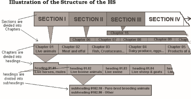 The Fundamentals of HS classification